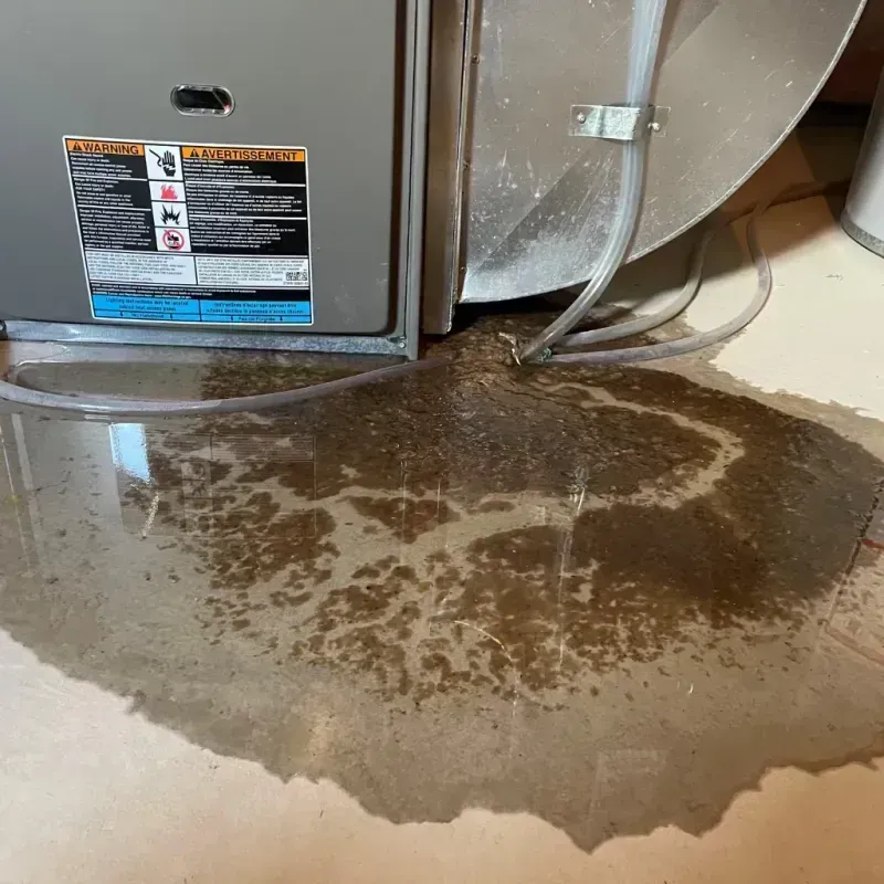 Appliance Leak Cleanup in North Amherst, MA